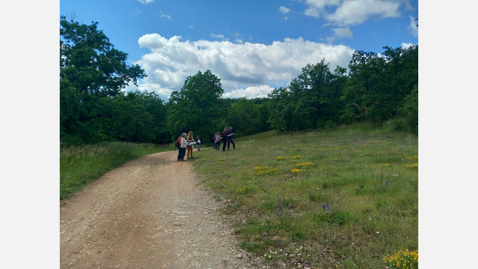 Découverte de la biodiversité dans le vallon de Saint-Symphorien