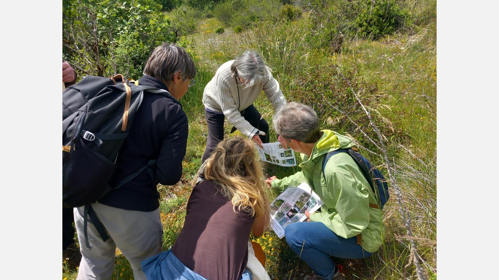 Découverte de la biodiversité dans le vallon de Saint-Symphorien