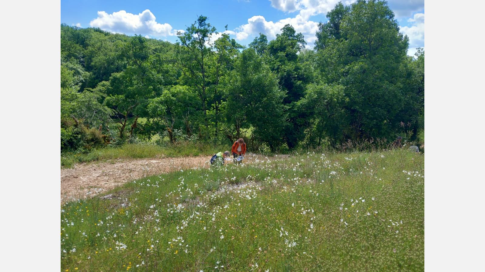 Découverte de la biodiversité dans le vallon de Saint-Symphorien