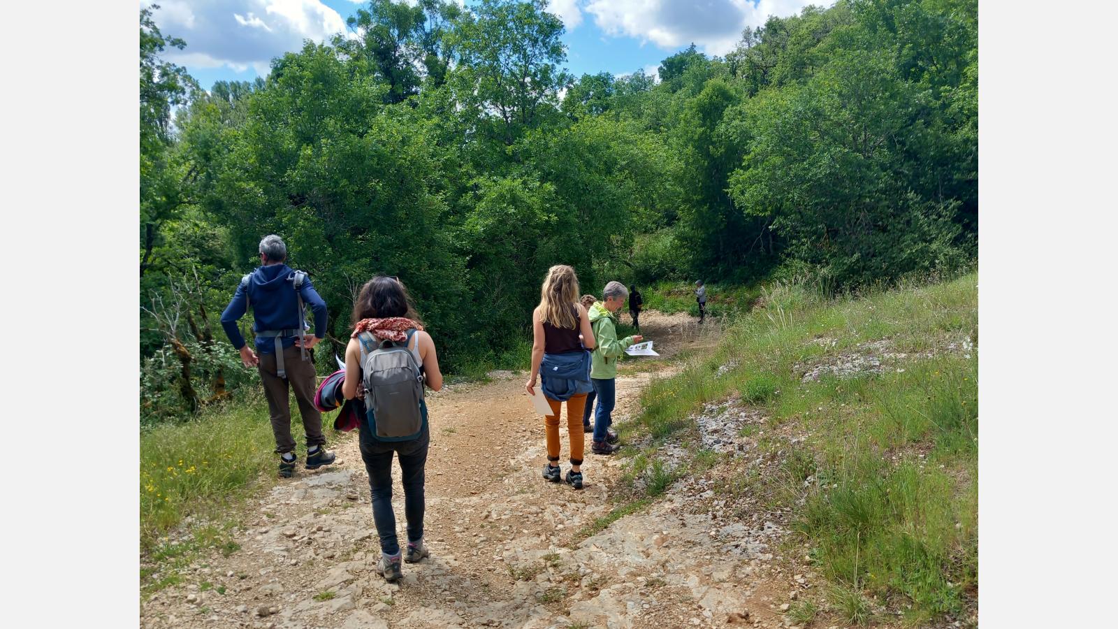 Découverte de la biodiversité dans le vallon de Saint-Symphorien