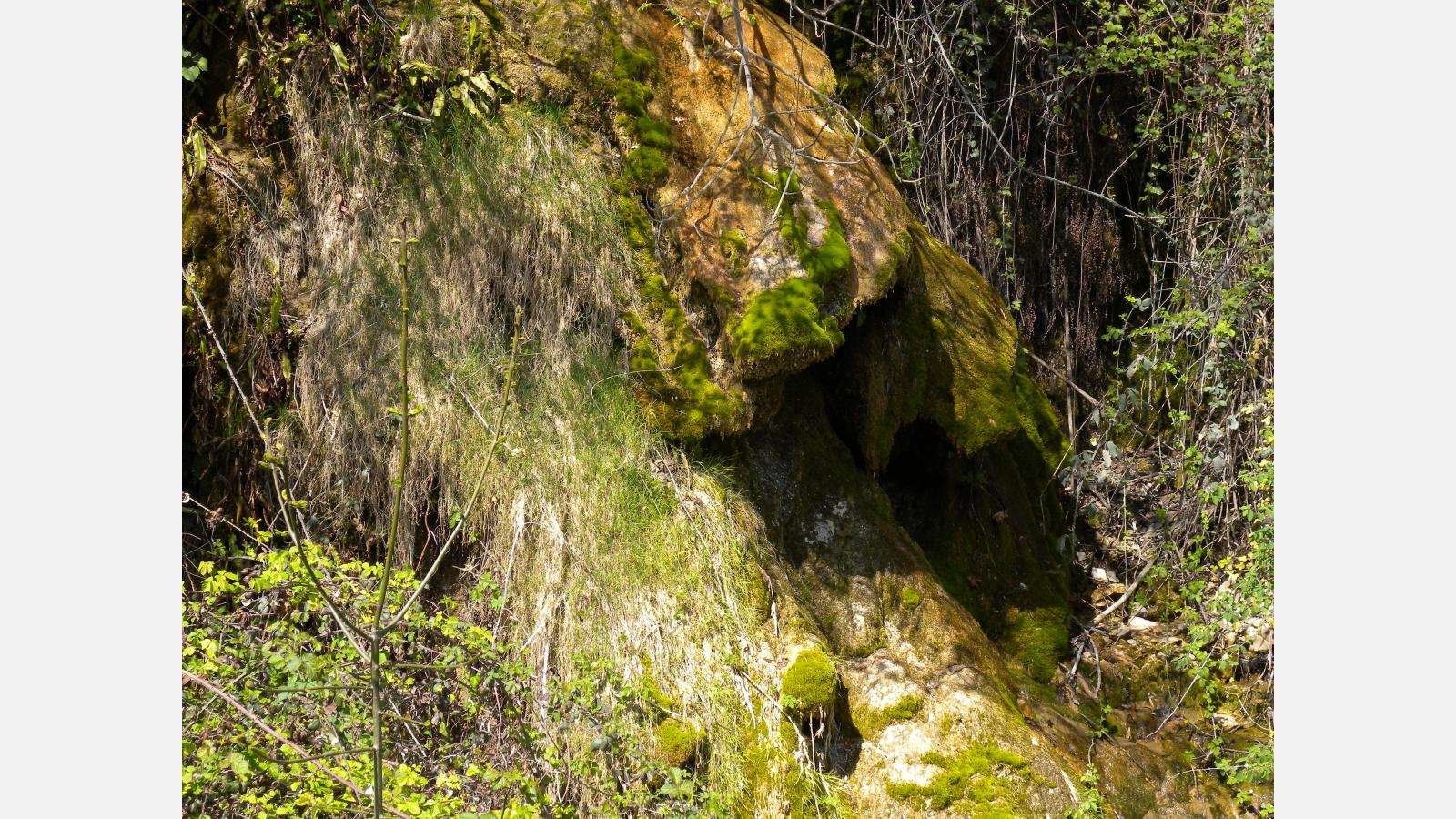 Source pétrifiante